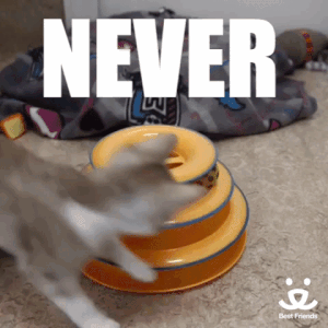 never give up gif - Never