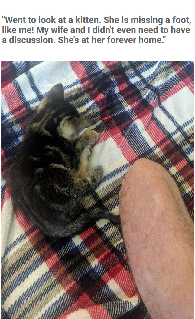 plaid - "Went to look at a kitten. She is missing a foot, me! My wife and I didn't even need to have a discussion. She's at her forever home."