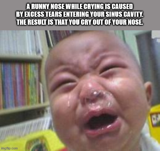 funny crying meme - A Runny Nose While Crying Is Caused By Excess Tears Entering Your Sinus Cavity. The Result Is That You Cry Out Of Your Nose. imgflip.com
