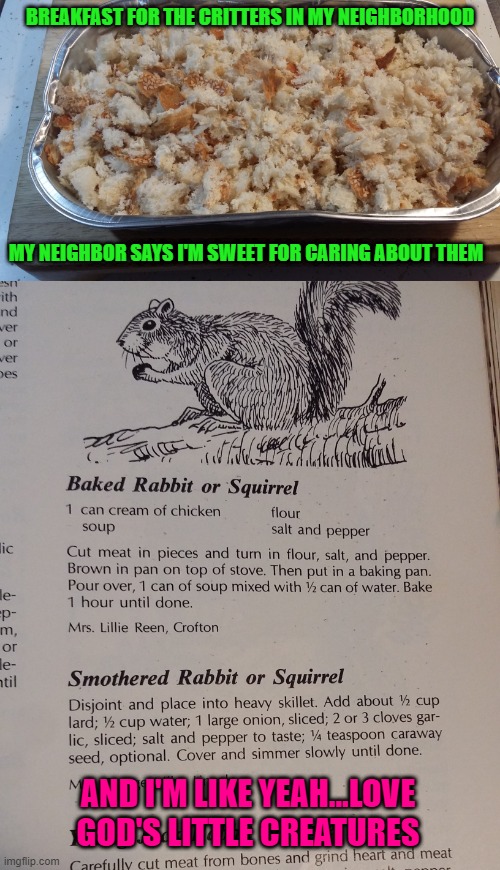recipe - Breakfast For The Critters In My Neighborhood My Neighbor Says I'M Sweet For Caring About Them ith nd ver or ver bes www 17. decem Baked Rabbit or Squirrel 1 can cream of chicken flour soup salt and pepper Cut meat in pieces and turn in flour, sa