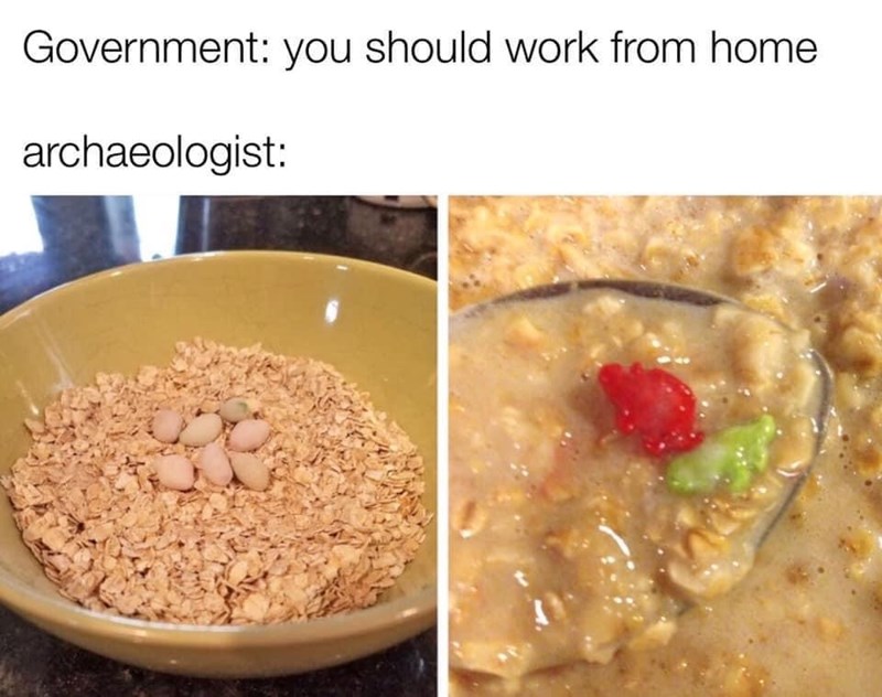 dinosaur oatmeal meme - Government you should work from home archaeologist