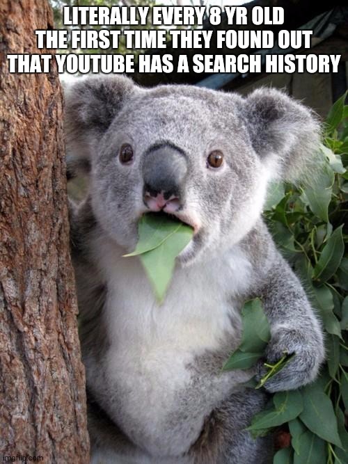 koala memes - Literally Every 8 Yr Old The First Time They Found Out That Youtube Has A Search History