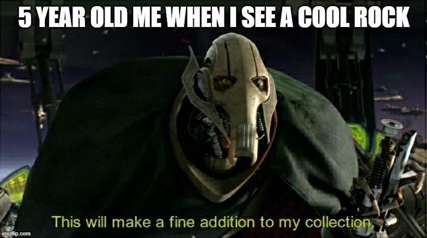 will make a fine addition to my collection - 5 Year Old Me When I See A Cool Rock This will make a fine addition to my collection, imgflip.com