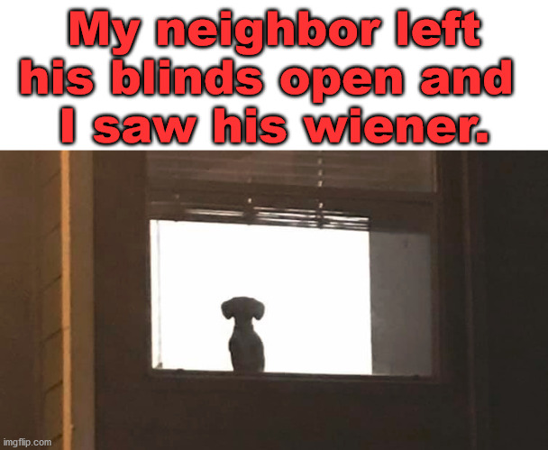 photo caption - My neighbor left his blinds open and I saw his wiener. imgflip.com