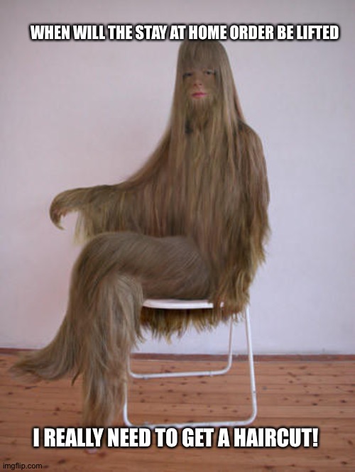 miss portugal chewbacca - When Will The Stay At Home Order Be Lifted I Really Need To Get A Haircut! imgflip.com