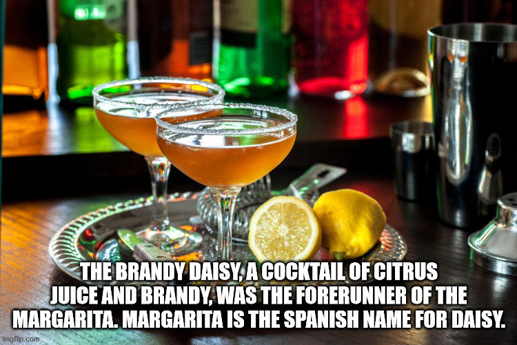 parade - The Brandy Daisy, A Cocktail Of Citrus Juice And Brandy, Was The Forerunner Of The Margarita. Margarita Is The Spanish Name For Daisy. imgflip.com