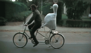 duck on a bike gif