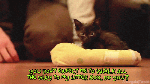 don t litter gifs - you Dot expect me To Walk All The way to my umeR Box, Do You? bangala umblr