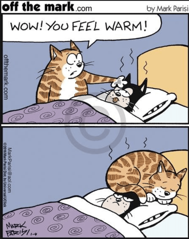 funny cat memes cat jokes cartoon - by Mark Parisi W off the mark.com Wow! You Feel Warm! offthemark.com MarkParisi.com 2016 Mark Parisi Dist. by Universal UClick