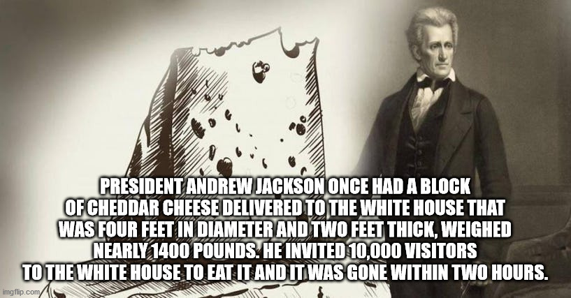 human behavior - President Andrew Jackson Once Had A Block Of Cheddar Cheese Delivered To The White House That Was Four Feet In Diameter And Two Feet Thick, Weighed Nearly 1400 Pounds He Invited 10.000 Visitors To The White House To Eat It And It Was Gone