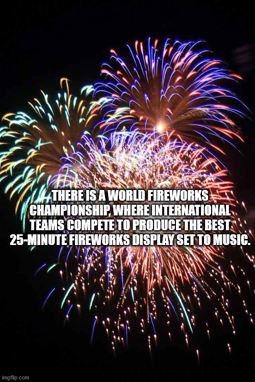 new year's eve 2020 funny meme - An There Is A World Fireworks St Championship, Where International Teams Compete To Produce The Best 25Minute Fireworks Display Set To Music. imgflip.com