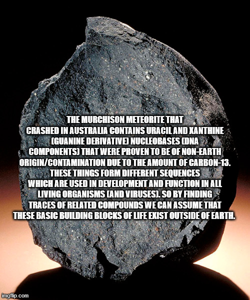 The Murchison Meteorite That Crashed In Australia Contains Uraciland Xanthine Guanine Derivative Nucleobases Cona Components That Were Proven To Be Of NonEarth Origin Contamination Due To The Amount Of Carbon13. X X These Things Form Different Sequences…