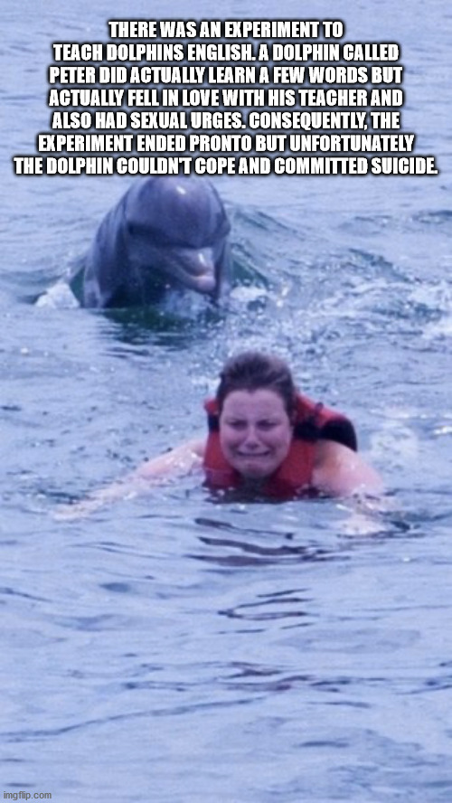 snuggle struggle - There Was An Experiment To Teach Dolphins English. A Dolphin Called Peter Did Actually Learn A Few Words But Actually Fell In Love With His Teacher And Also Had Sexual Urges. Consequently. The Experiment Ended Pronto But Unfortunately T