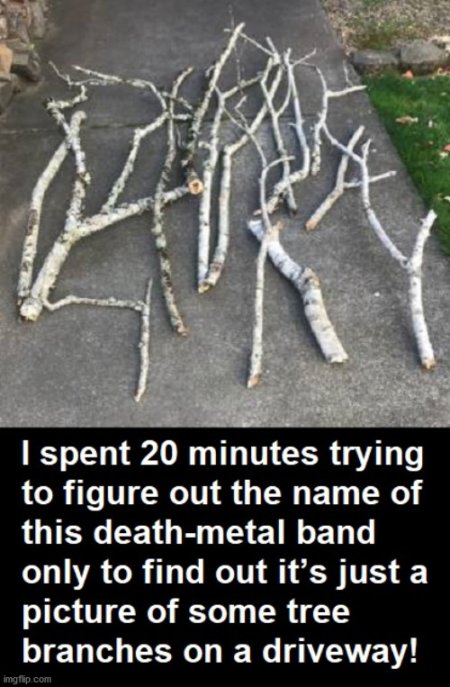 twig - I spent 20 minutes trying to figure out the name of this death metal band only to find out it's just a picture of some tree branches on a driveway! imgflip.com