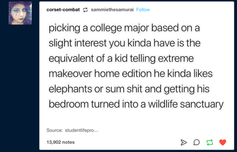 anonymous hate - corsetcombat sammiethesamurai picking a college major based on a slight interest you kinda have is the equivalent of a kid telling extreme makeover home edition he kinda elephants or sum shit and getting his bedroom turned into a wildlife