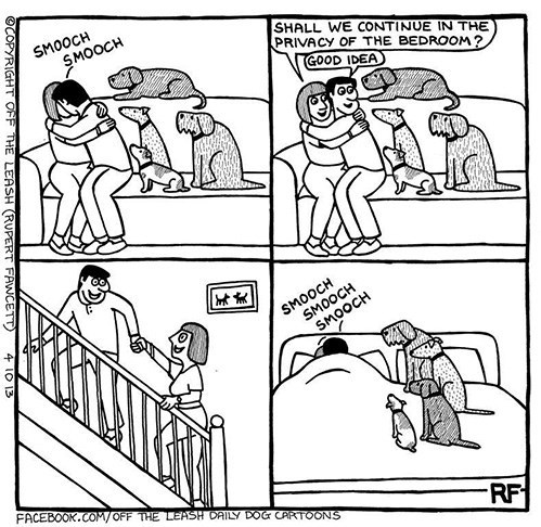 funny dog memes cartoon - Smooch Shall We Continue In The Privacy Of The Bedroom ? Good Idea Smooch Noss Copyright Off The Leash Rupert Fawcett 41013 Smooch Smooch Smooch Rf Facebook.ComOff The Leash Daily Dog Prtoons