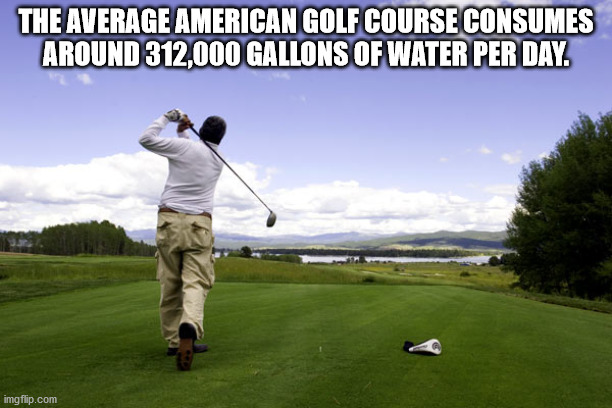 playing golf - The Average American Golf Course Consumes Around 312,000 Gallons Of Water Per Day.