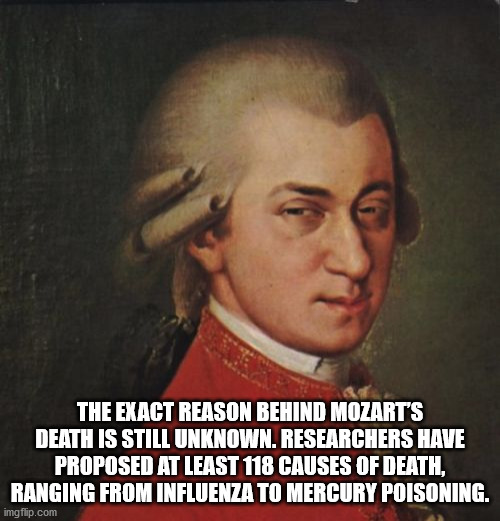 wolfgang amadeus mozart - The Exact Reason Behind Mozart'S Death Is Still Unknown. Researchers Have Proposed At Least 118 Causes Of Death. Ranging From Influenza to Mercury Poisoning.
