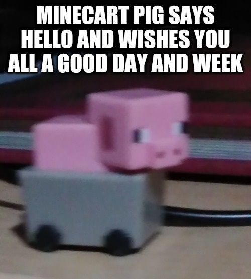 hitler cat - Minecart Pig Says Hello And Wishes You All A Good Day And Week