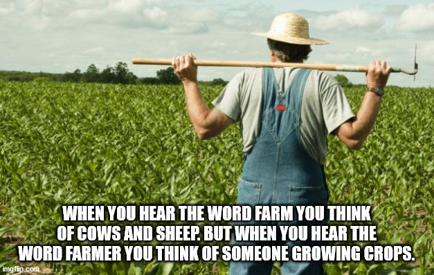 farming style - When You Hear The Word Farm You Think Aof Cows And Sheep. But When You Hear The Word Farmer You Think Of Someone Growing Crops. imgflip.com