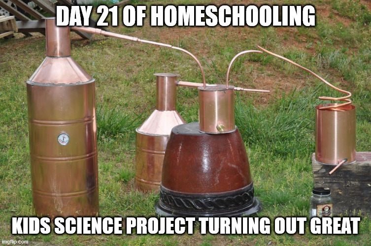 Day 21 Of Homeschooling Kids Science Project Turning Out Great imgflip.com