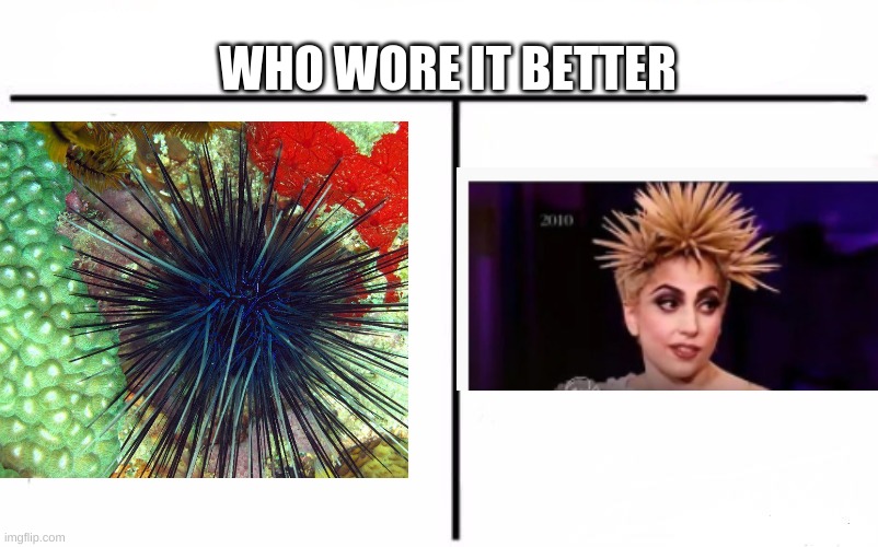 sea urchin - Who Wore It Better 2010 imgflip.com
