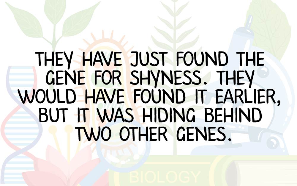 clean science jokes - They Have Just Found The Gene For Shyness. They Would Have Found It Earlier, But It Was Hiding Behind Two Other Genes.