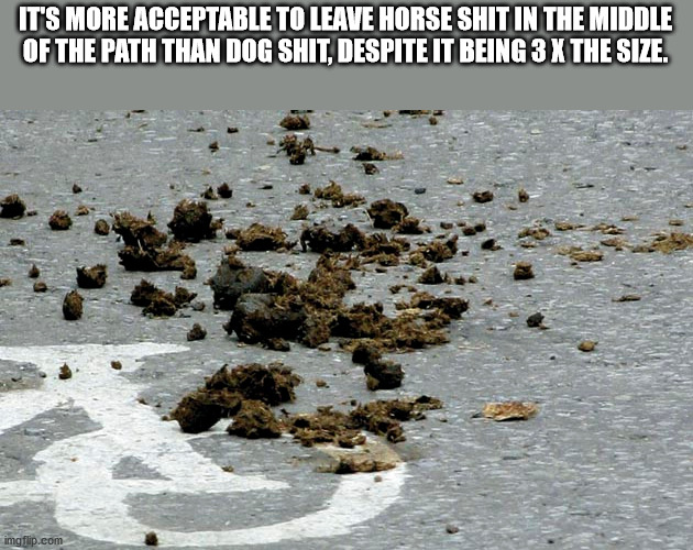 water resources - It'S More Acceptable To Leave Horse Shit In The Middle Of The Path Than Dog Shit, Despite It Being 3 X The Size. imgflip.com