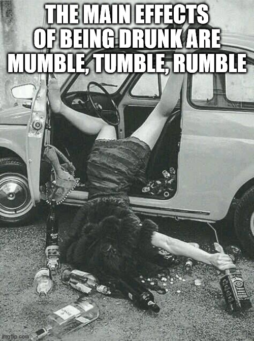 drunk girls memes - The Main Effects Of Being Drunk Are Mumble, Tumble, Rumble Kohta img tip.com