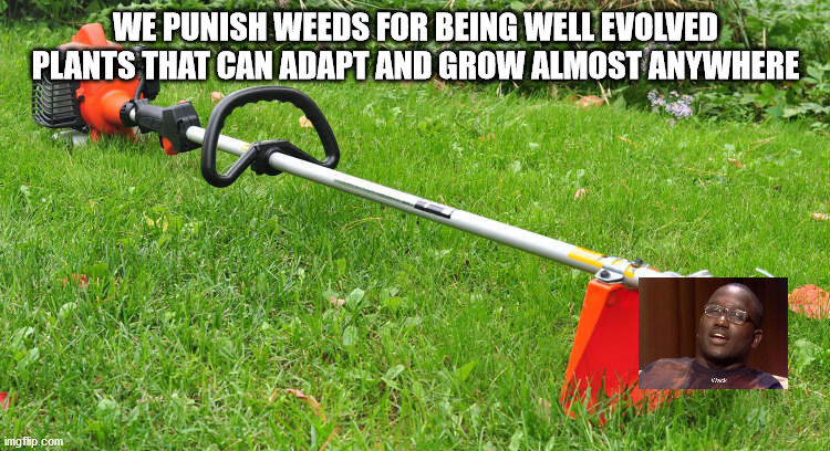 weed eatera - We Punish Weeds For Being Well Evolved Plants That Can Adapt And Grow Almost Anywhere imgflip.com