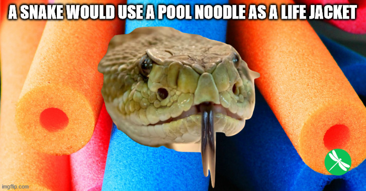 A Snake Would Use A Pool Noodle As A Life Jacket imgflip.com