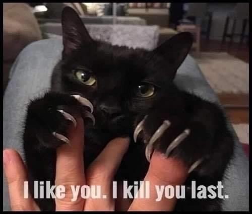 murder mittens meme - I you. I kill you last.