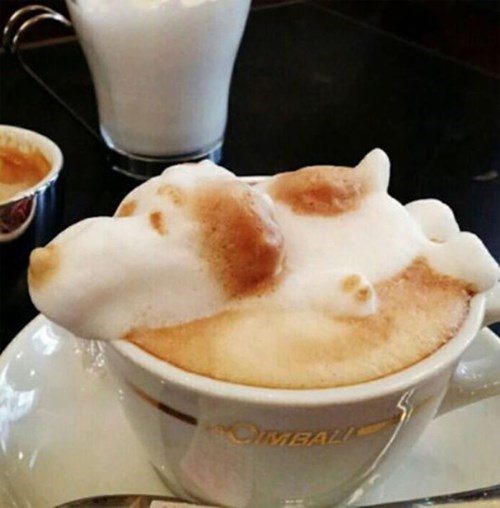 cappuccino foam art