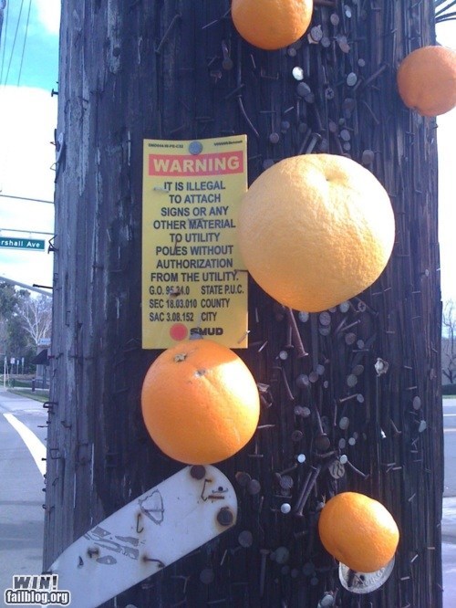 orange - Warning It Is Illegal To Attach Signs Or Any Other Material To Utility Poles Without Authorization From The Utility. G.0.95.340 State P.U.C. Sec 18.03.010 County Sac 3.08.152 City Smud Win! failblog.org