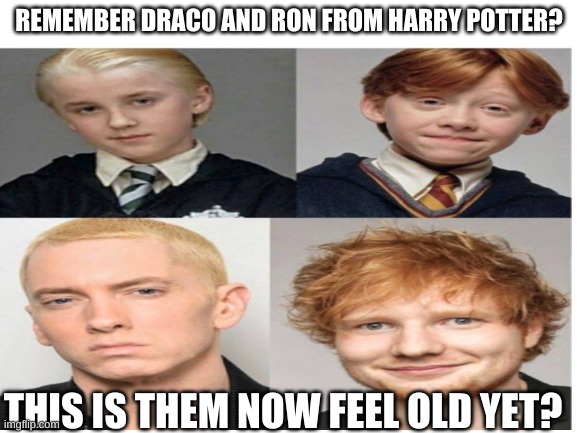 hairstyle - Remember Draco And Ron From Harry Potter? This Is Them Now Feel Old Yet?