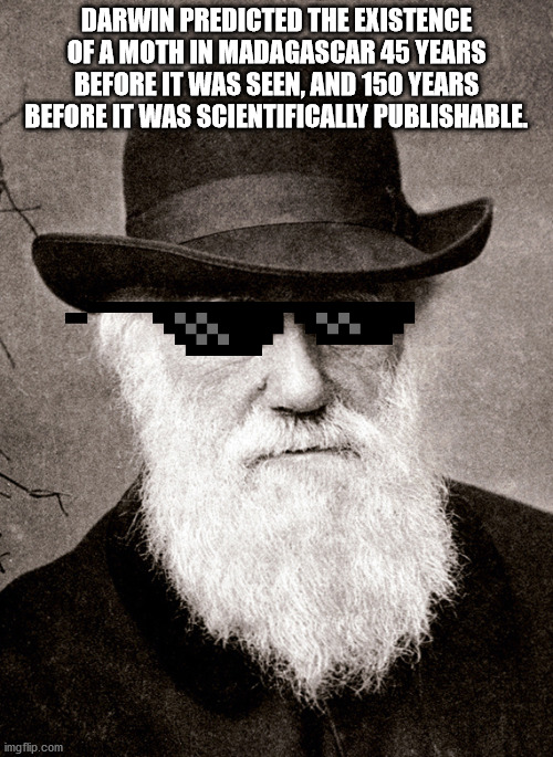 charles darwin - Darwin Predicted The Existence Of A Moth In Madagascar 45 Years Before It Was Seen. And 150 Years Before It Was Scientifically Publishable imgflip.com