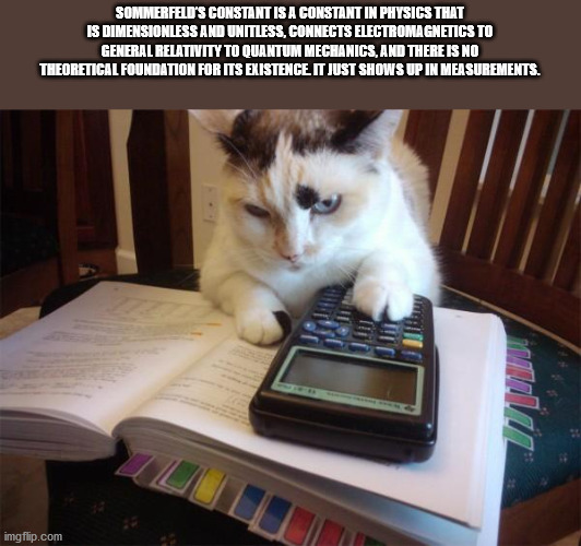 math cat - Sommerfeld'S Constant Is A Constantin Physics That Is Dimensionless And Unitless Connects Electromagnetics To General Relativity To Quantum Mechanics, And There Is No Theoretical Foundation For Its Existence It Just Shows Up In Measurements. im