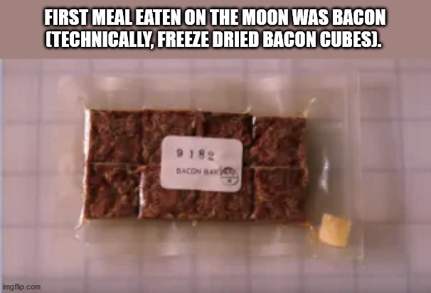 willy wonka meme - First Mealeaten On The Moon Was Bacon Technically. Freeze Dried Bacon Cubes. 9182 Bacon Bayo imgflip.com