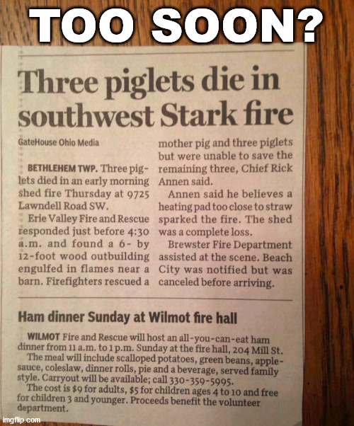 newspaper - Too Soon? Three piglets die in southwest Stark fire Gate House Ohio Media mother pig and three piglets but were unable to save the Bethlehem Twp. Three pig remaining three, Chief Rick lets died in an early morning Annen said. shed fire Thursda