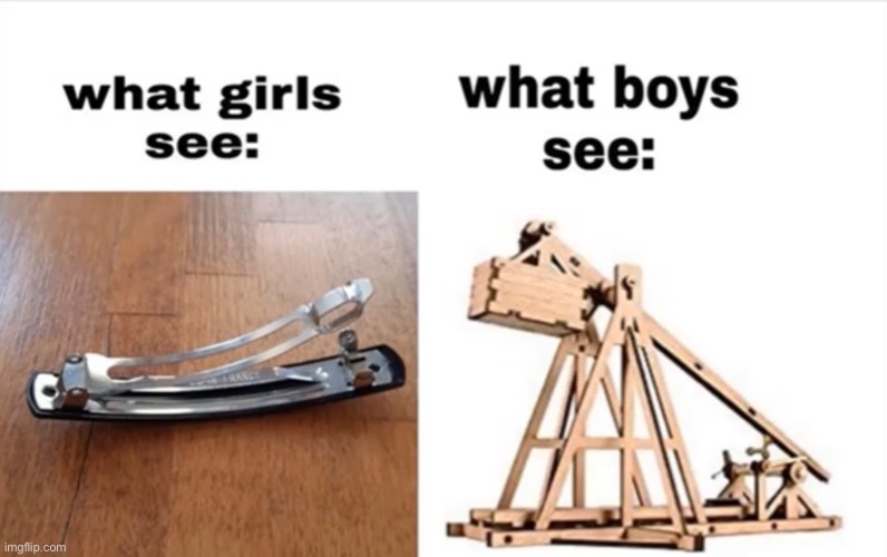 Trebuchet - what girls see what boys see imgflip.com