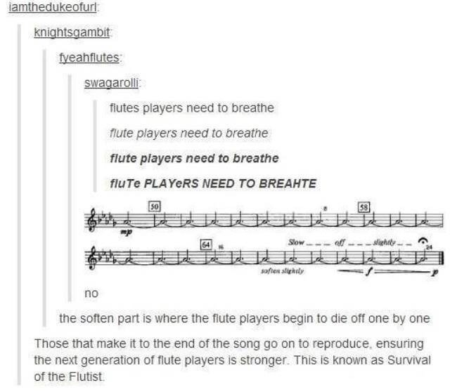 survival of the flutist - iamthedukeofurl knightsgambit fyeahflutes swagarolli flutes players need to breathe flute players need to breathe flute players need to breathe fluTe Players Need To Breahte Slow off slightly no the soften part is where the flute