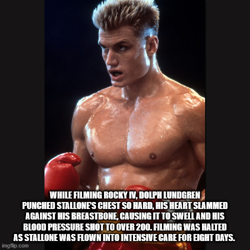 dolph lundgren rocky iv - While Filming Rocky Iv, Dolph Lundgren Punched Stallone'S Chest So Hard, His Heart Slammed Against His Breastbone, Causing It To Swell And His Blood Pressure Shotto Over 200. Filming Was Halted As Stallone Was Alown Into Intensiv