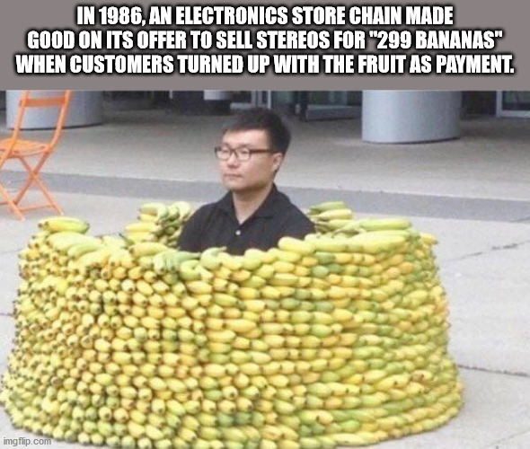 hoarding food meme - In 1986. An Electronics Store Chain Made Good On Its Offer To Sell Stereos For "299 Bananas" When Customers Turned Up With The Fruit As Payment imgflip.com