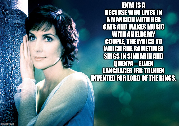 caribbean blue enya - Enya Is A Recluse Who Lives In A Mansion With Her Cats And Makes Music With An Elderly Couple, The Lyrics To Which She Sometimes Sings In Sindarin And Quenya Elven Languages Jrr Tolkien Invented For Lord Of The Rings. imgflip.com
