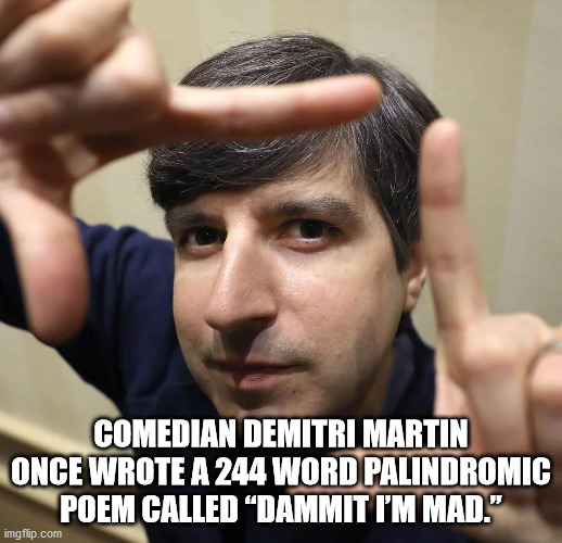 photo caption - Comedian Demitri Martin Once Wrote A 244 Word Palindromic Poem Called Dammit I'M Mad." imgflip.com