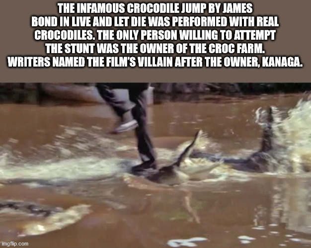 photo caption - The Infamous Crocodile Jump By James Bond In Live And Let Die Was Performed With Real Crocodiles. The Only Person Willing To Attempt The Stunt Was The Owner Of The Croc Farm. Writers Named The Film'S Villain After The Owner. Kanaga. imgfli