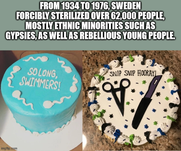 happy vasectomy cake - From 1934 To 1976, Sweden Forcibly Sterilized Over 62,000 People, Mostly Ethnic Minorities Such As Gypsies, As Well As Rebellious Young People. So Long, Swimmers! Snip Snip Hoorayi Owo imgflip.com