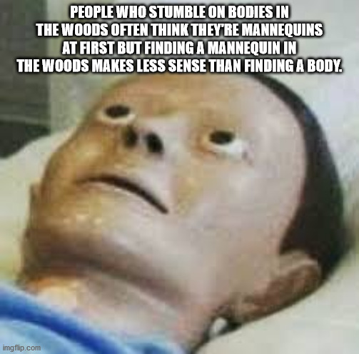 photo caption - People Who Stumble On Bodies In The Woods Often Think They'Re Mannequins At First But Finding A Mannequin In The Woods Makes Less Sense Than Finding A Body. imgflip.com