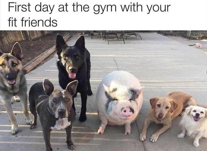 undercover agent meme - First day at the gym with your fit friends