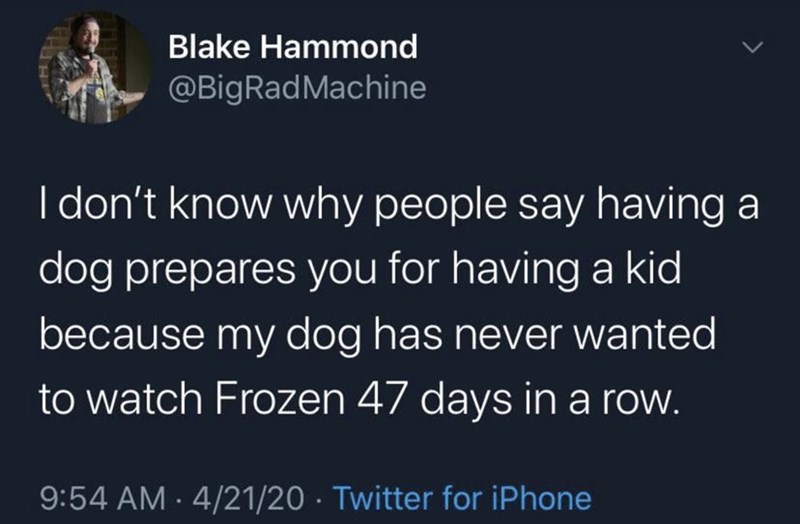 funny quotes - Blake Hammond Machine I don't know why people say having a dog prepares you for having a kid because my dog has never wanted to watch Frozen 47 days in a row. 42120 Twitter for iPhone